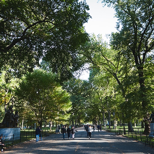A sidewalk of pedestrians enjoying a walk through Central Park