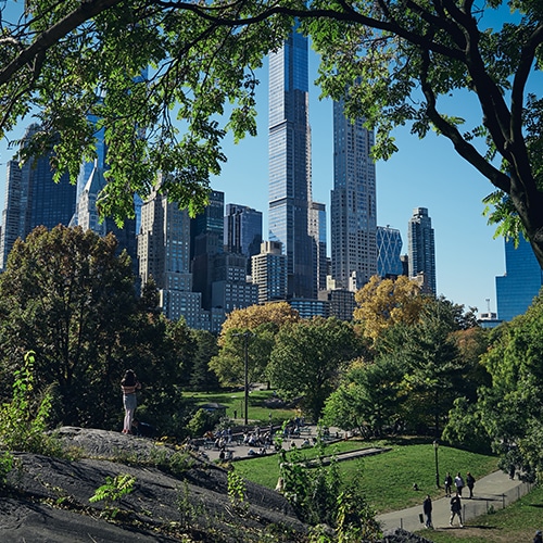 Tourists enjoying the very green Central Park on a sunny day